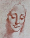 Head of woman, illustrated in a vintage book, Leonard de Vinci, Eugene Muntz, 1899, Paris