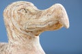 Head of the wooden Dodo bird - typical souvenir from Mauritius island. Royalty Free Stock Photo