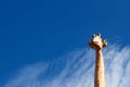 Head Of A Wooden Giraffe On A Blue Sky Background, Minimalism