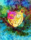Head of a young tiger on abstract background with graphic structure effect. Royalty Free Stock Photo