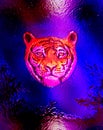 Head of a young tiger on abstract background with graphic structure and glass effect. Royalty Free Stock Photo