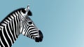 Minimalist Zebra Photo On Blue Background