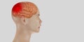 Headache brain system problems skull pain face man showing headaches 3d illustration