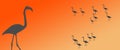 Header Background Birds Flamingo Group Flock Silhouette with Isolated Flamingo