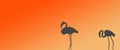 Header Background Birds Greater Flamingo Pair Standing at Side Royalty Free Stock Photo