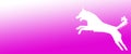 Header Background Pet Dog Jumping on Magenta Orange Gradient Background