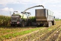 Header harvesting fodder corn mass, pouring into truck body