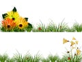 Headers with flowers, grass and ladybugs