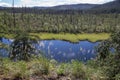 Delicate backlit grasses overlook wilderness from West Fork Camp