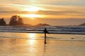 Tofino, Vancouver Island, Heading into the Surf at Sunset on Chesterman Beach on Pacific Coast of British Columbia, Canada