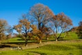 Heading to Simon Seat in the Yorkshire Dales Royalty Free Stock Photo