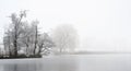 Headland with bare trees covered by hoar frost on a frozen lake on a cold foggy winter day, gray landscape with copy space Royalty Free Stock Photo