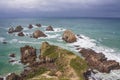 The headland of Nugget Point with rocky islets called The Nuggets at the Catlins, New Zealand.