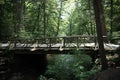 Headless Horseman Bridge at Sleepy Hollow Royalty Free Stock Photo