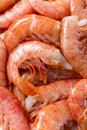 Headless langoustines von backdrop pink boiled langoustine seafood