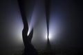 Headlights in dark forest with fog trough trees Royalty Free Stock Photo