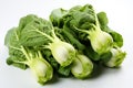 Heads of Beijing cabbage isolated on a white, agricultural crops.