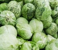 Cabbages