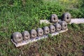 The heads of the clay idols of different shapes are drying in Sun light.