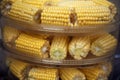 Heads of corn laid out for cooking in a double boiler. Corn broken into pieces in a steamer.