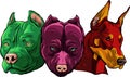 Heads of dogs pitbull dobermann bulldog vector Royalty Free Stock Photo