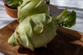 Heads of fresh ripe bio white cabbage kohlrabi from organic farm, close up