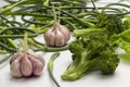 Heads of garlic and broccoli, garlic sprouts