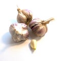 Heads of garlic and the cleaned clove on a white background Royalty Free Stock Photo