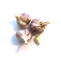 Heads of garlic and the cleaned clove on a white background. Royalty Free Stock Photo