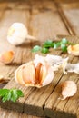 Heads of garlic with parsley on a wooden table. Royalty Free Stock Photo