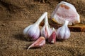 Heads of garlic a slice of black bread a piece of lard