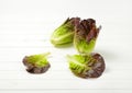 Heads and leaves of fresh lettuce Royalty Free Stock Photo