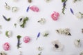 Heads of pastel, spring flowers