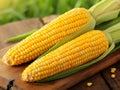 Heads of raw corn wooden background Royalty Free Stock Photo
