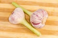 Heads of the young purple garlic on a cutting board Royalty Free Stock Photo