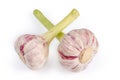 Heads of the young purple garlic on a white background Royalty Free Stock Photo