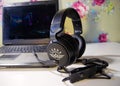 Headset for a personal computer. Headset - headphones for use with a computer