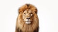 Headshot of beautiful male lion - artificial art