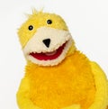 Headshot of Flat Eric Puppet Royalty Free Stock Photo