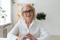 Headshot view of smiling senior businesswoman have video call