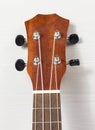 Headstock of Ukulele Hawaiian Guitar