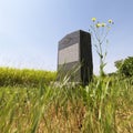 Headstone in field. Royalty Free Stock Photo