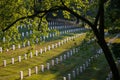 Headstone Rows