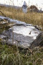 Headstone in tall weeds