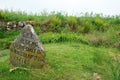 MacGillivray Grave Marker at Culloden Royalty Free Stock Photo