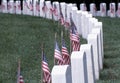 Headstones with American Flags Royalty Free Stock Photo