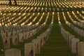 Headstones and American flags at military cemetery Royalty Free Stock Photo