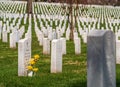 Headstones with flowers in Arlington National Cemetery - Washington DC United States