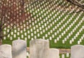 Arlington, USA: Headstones at the Arlington National Cemetery near Washington DC Royalty Free Stock Photo