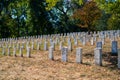 Headstones in Arlington National Cemetery